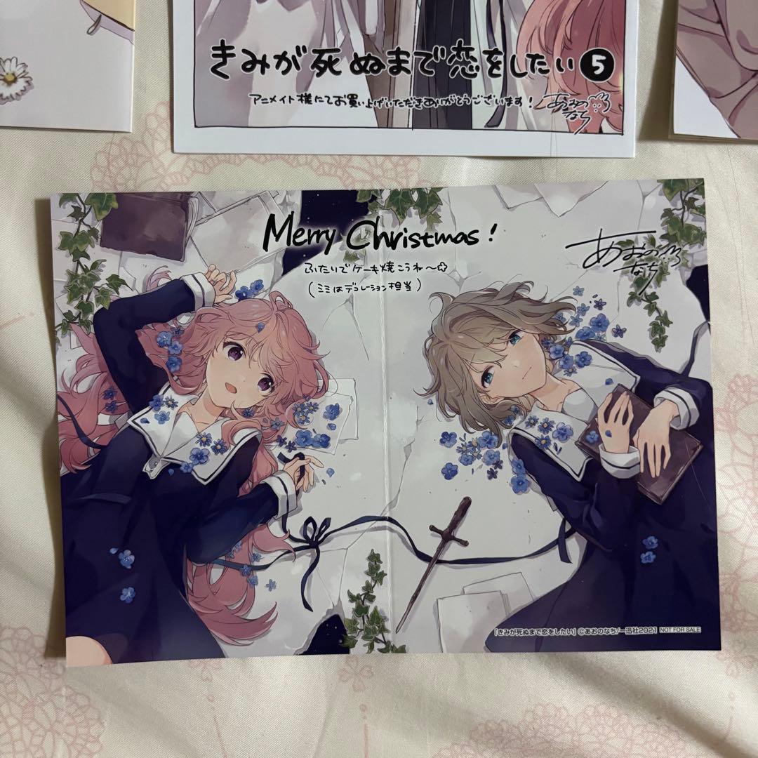 きみが死ぬまで恋をしたい　アニメイト　特典　特装版小冊子　クリスマスカード