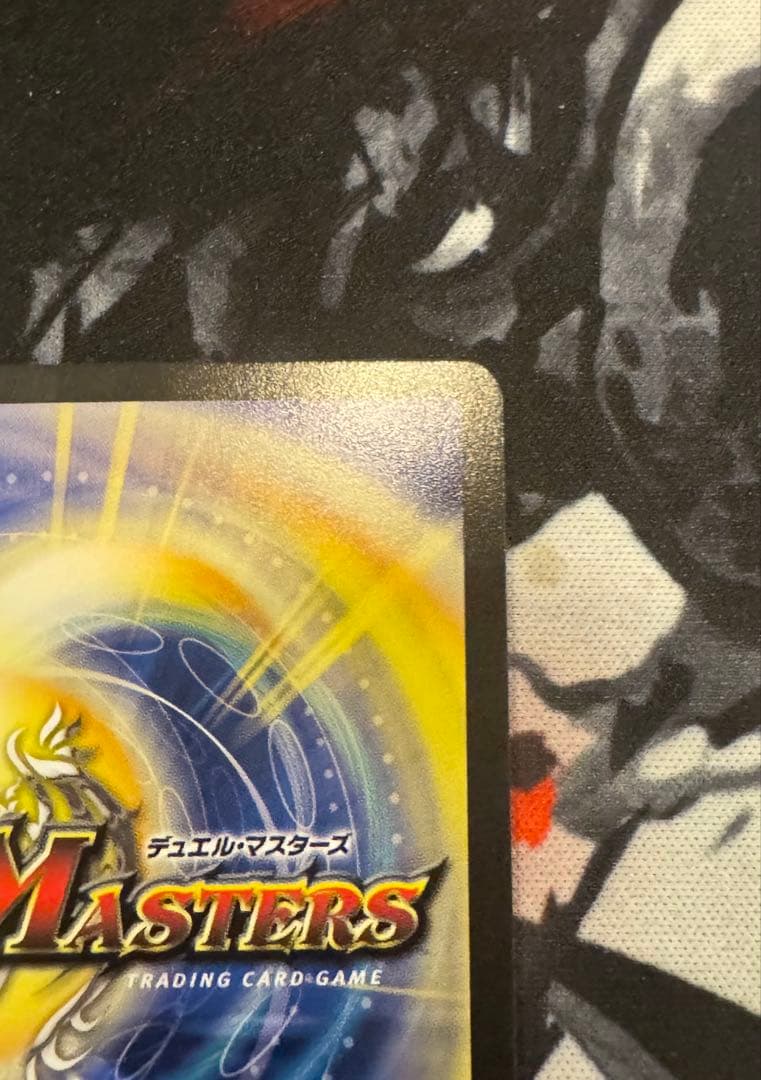 野獣魂　専用