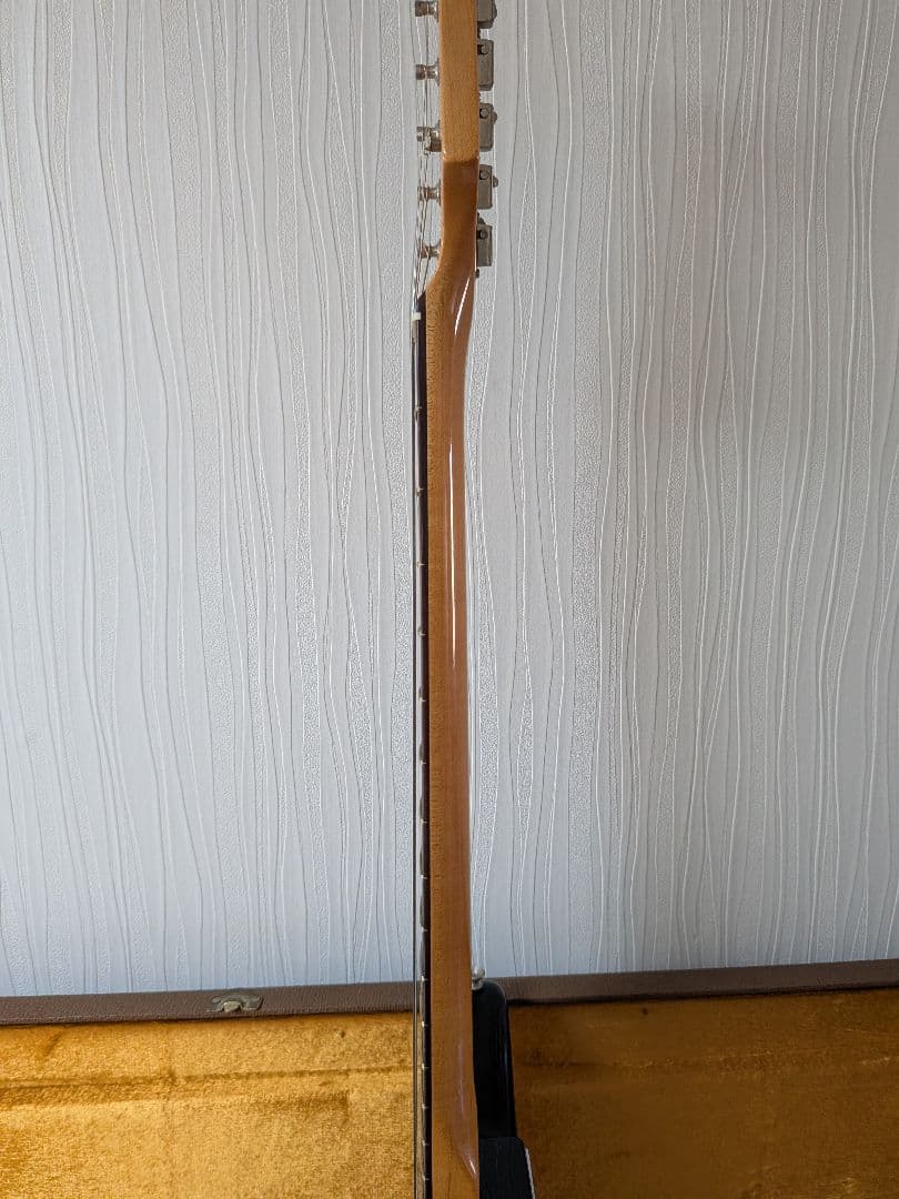 Fender Mexico Jazzmaster　ハードカバー