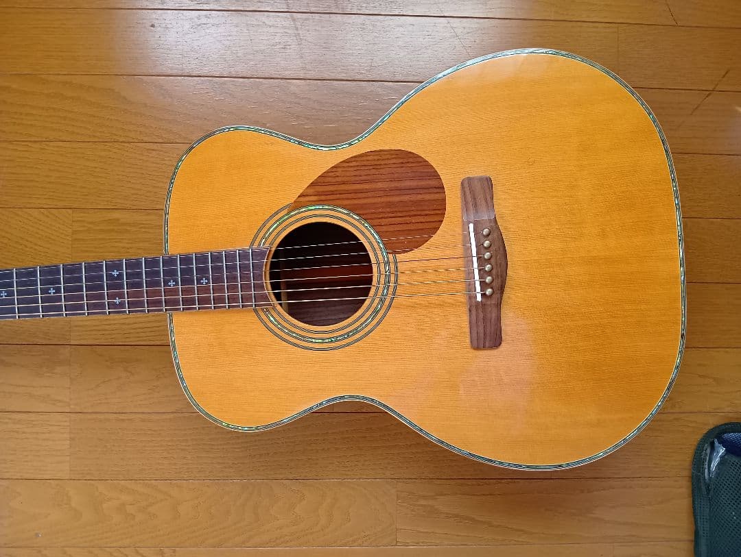 ギター Greg Bennett