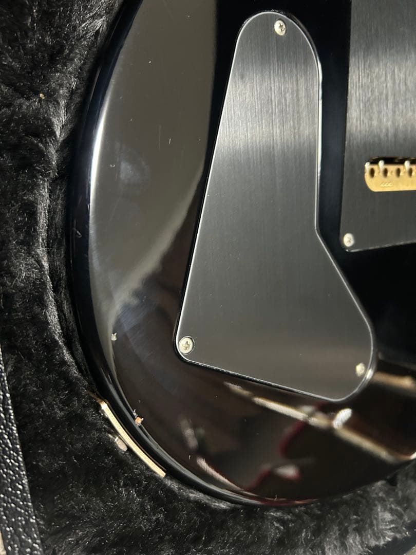 PRS custom22 DsKs