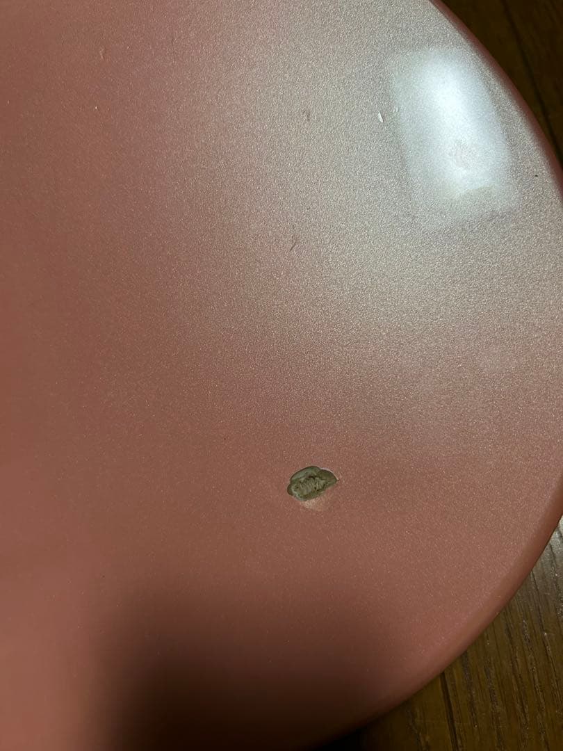 専用品