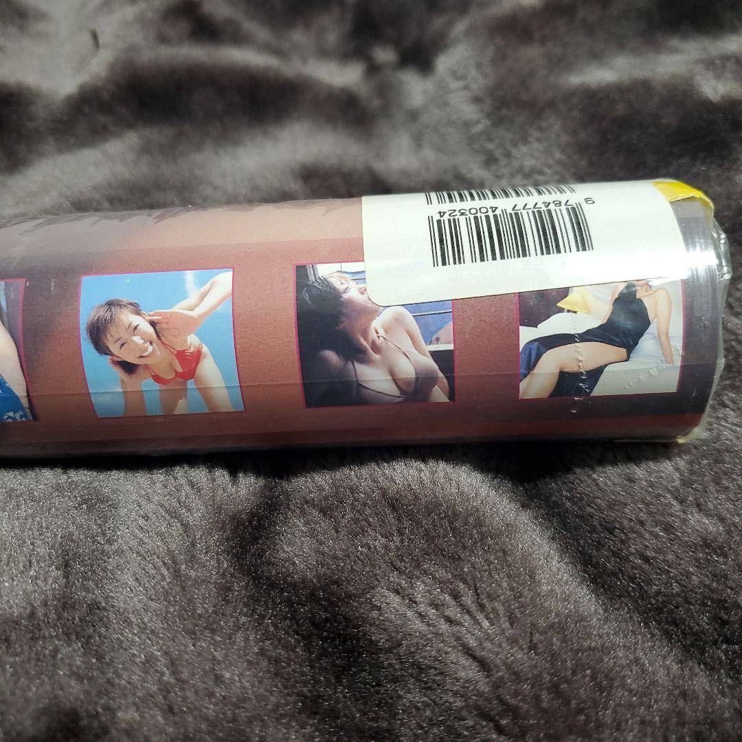 井上和香 2004年 CL-032 壁掛けカレンダー 新品未開封