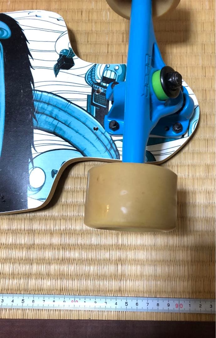 RAYNE ロングスケートボード ロンスケ 送料込 カナダ製