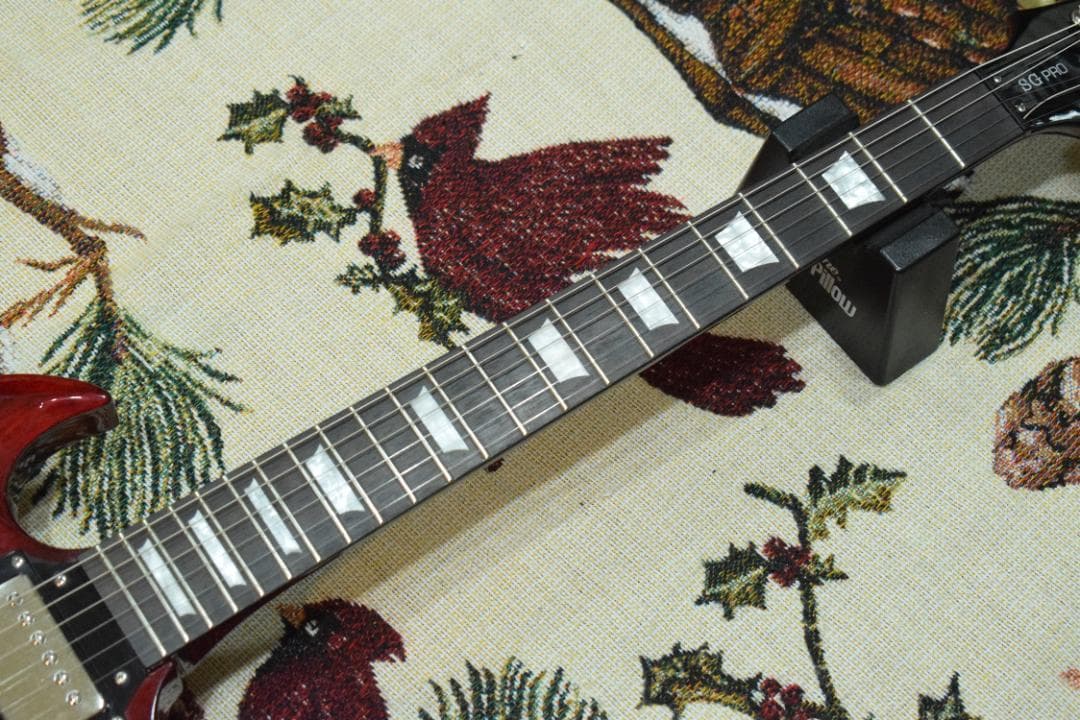 Epiphone SG PRO 2014年製 ソフトケース付