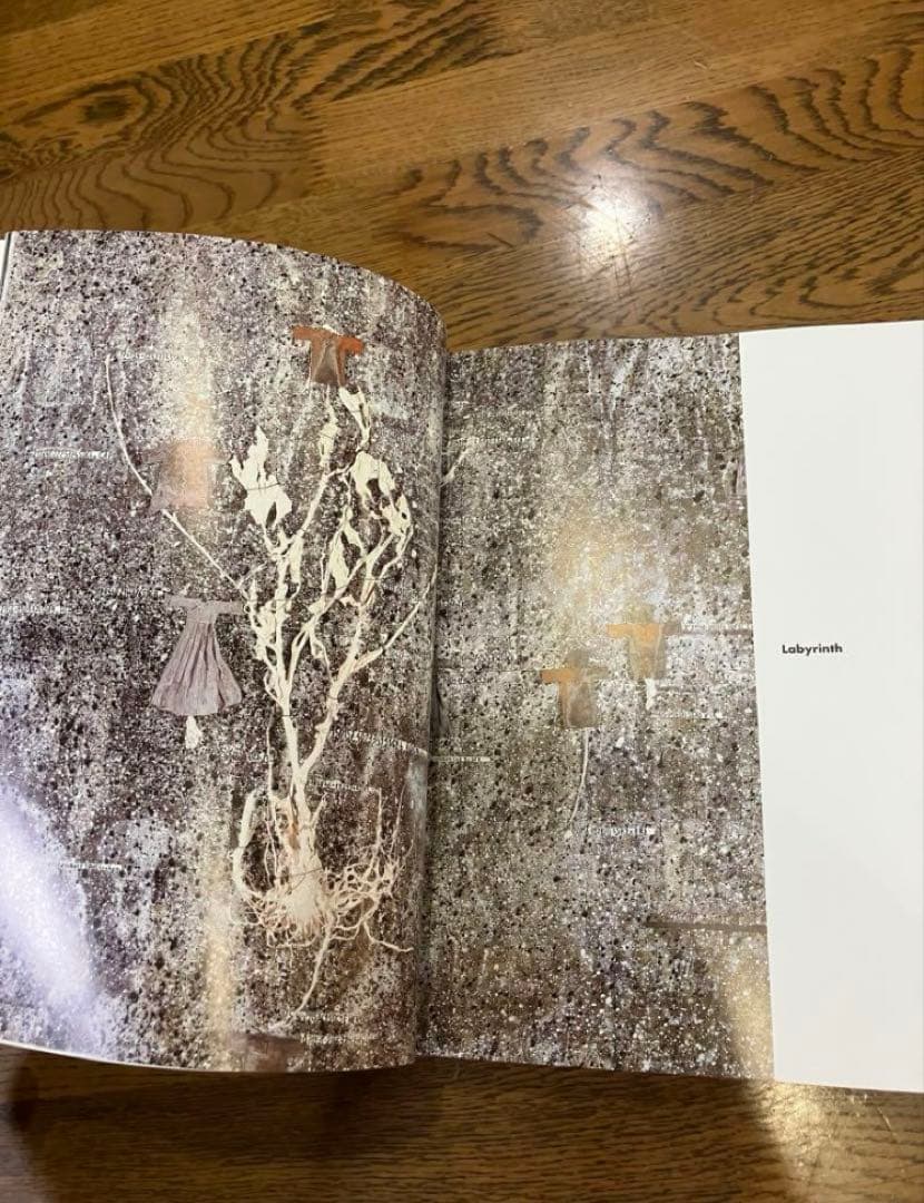 アート・デザイン・音楽 Anselm Kiefer Daniel Arasse