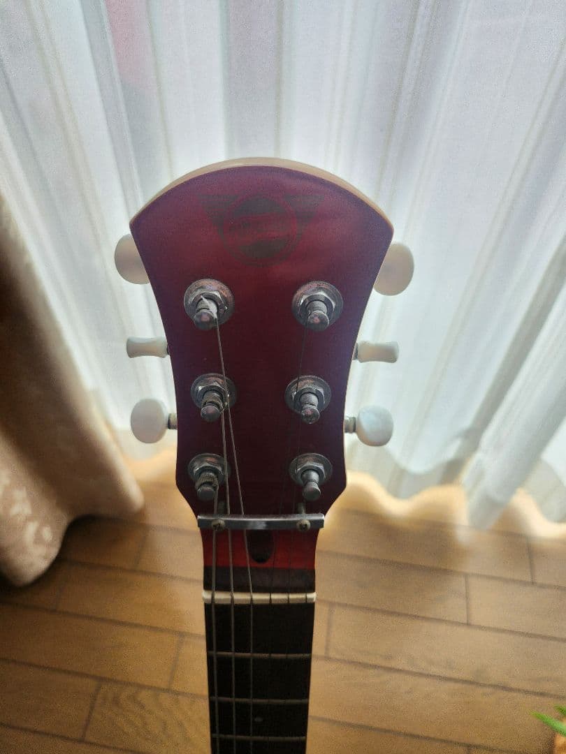 Pignose アンプ内蔵エレキギター