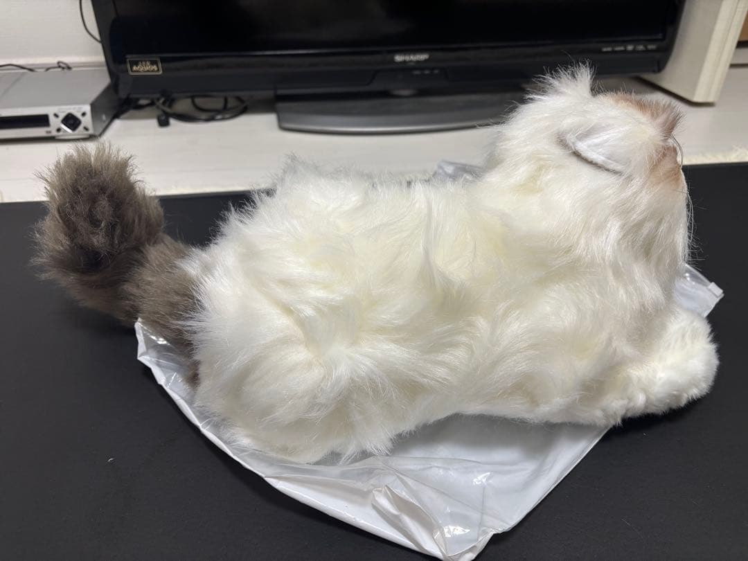 猫 ねこ ぬいぐるみ 新品未使用 全約50cm