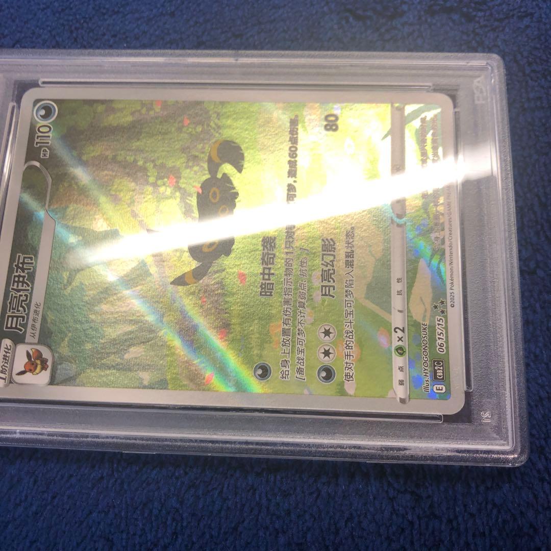 ブラッキー　中国　AR psa10