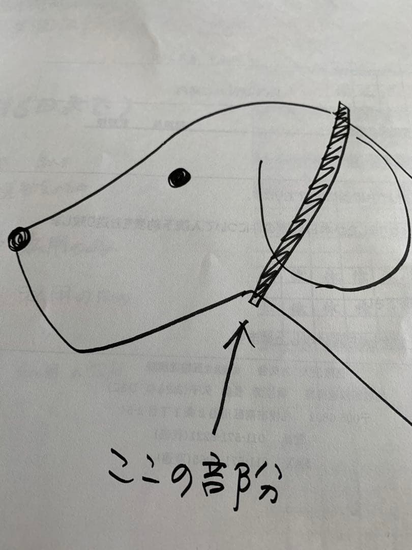 REXページ　大型犬用　コンチョ付ハーフチョーク　2本