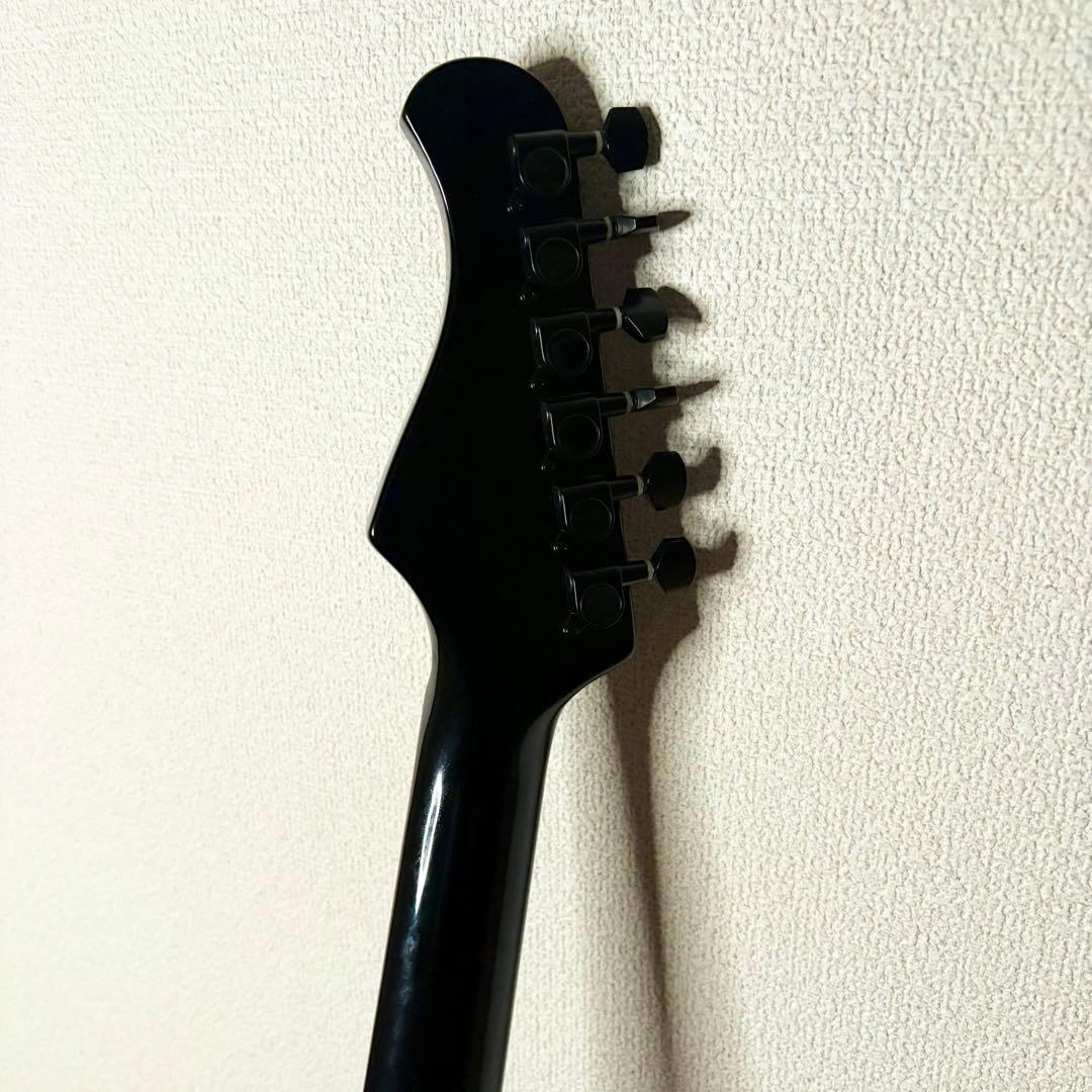 bacchus HST ALL BLACK【イケベ楽器限定モデル】