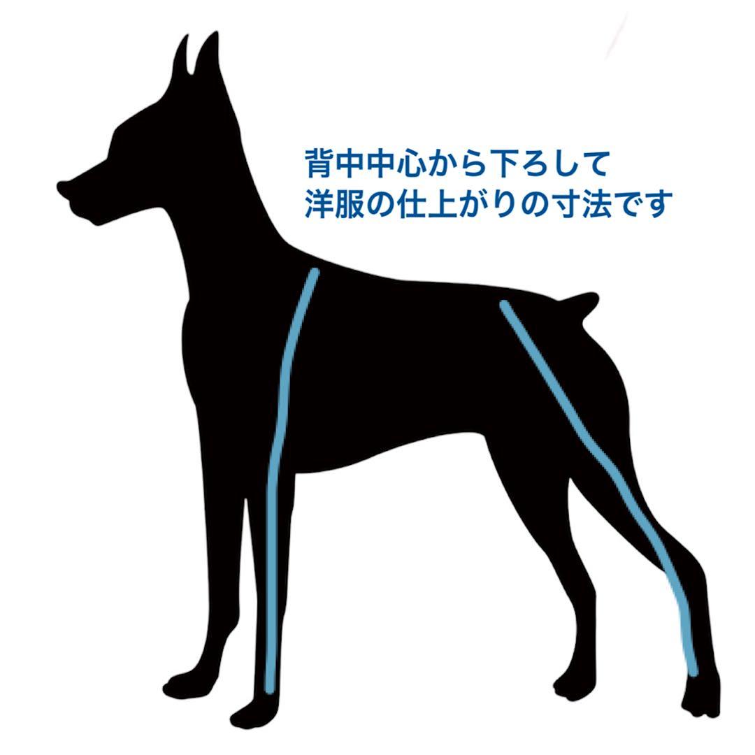 ⑪コーデュロイ イン パリ