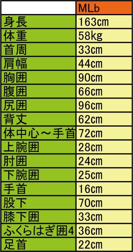 国内生産ALL2mmロングタッパー/クラッシックスタイル/レディースMLbサイズ