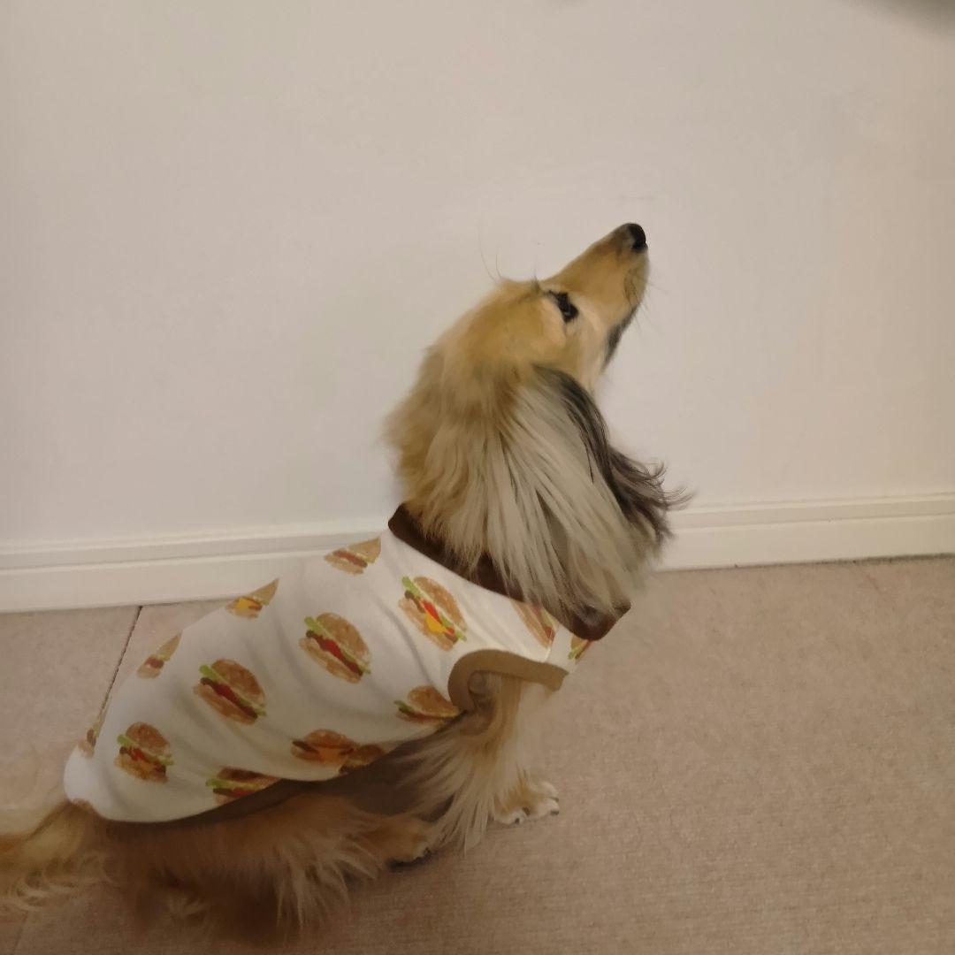 犬服　ハンドメイド　ハンバーガー