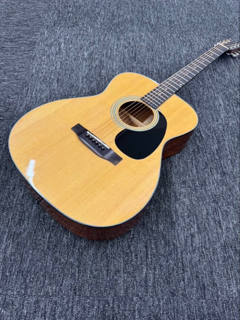 Aria Dreadnought アコースティックギター セットAF-25N