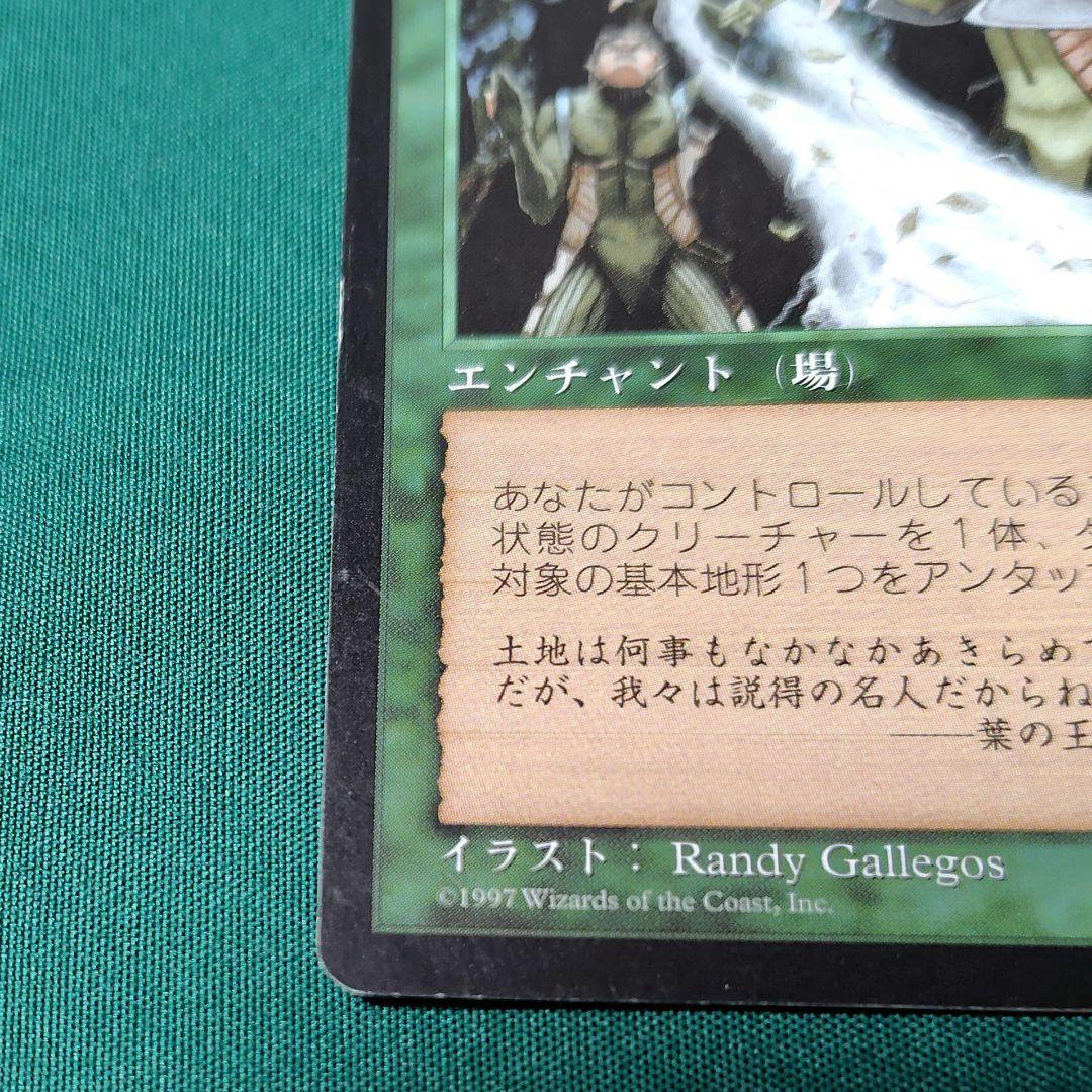 MTG 大地の知識