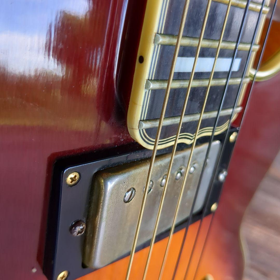 Epiphone joepass モデルフルアコースティックギター ケース付