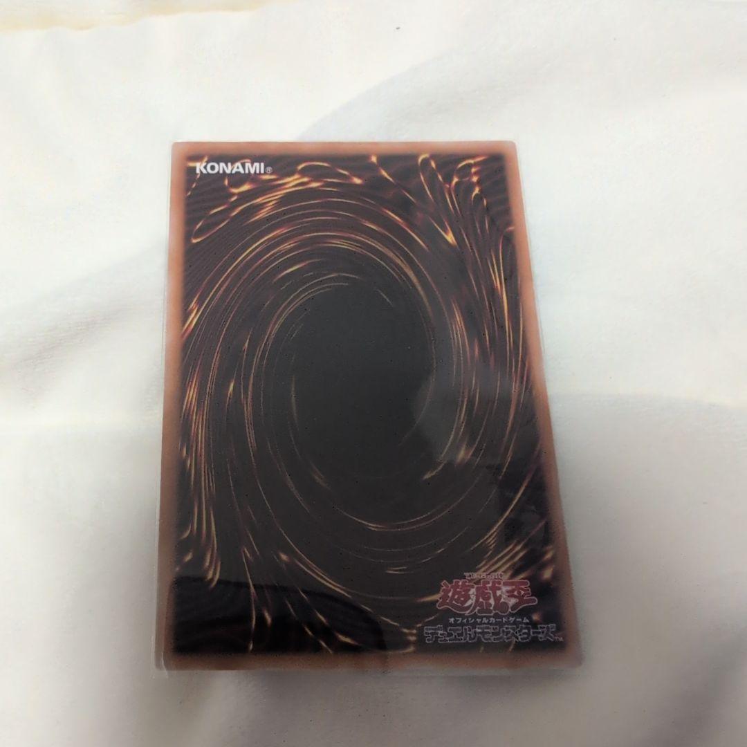 大輪の霊使い　プリズマ