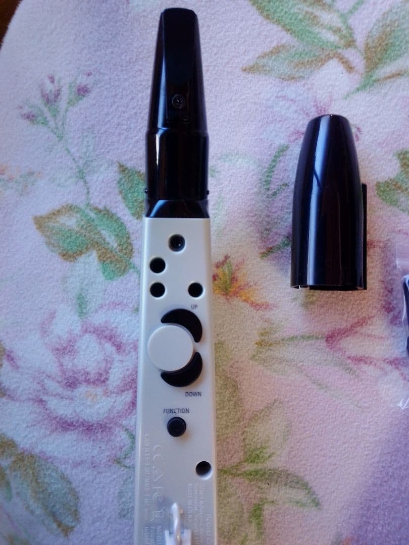 Roland Aerophone mini　AE−01