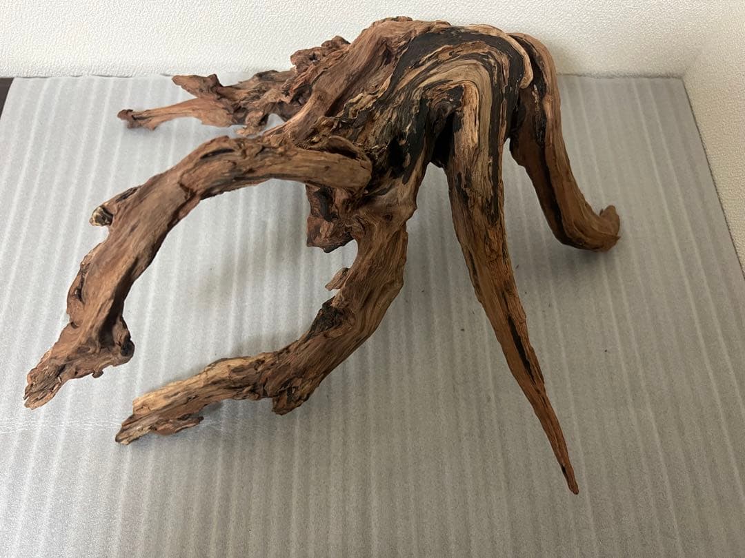 HX-079 流木　ホーンウッド　マシンガンウッド　アクアリウム　ブランチウッド