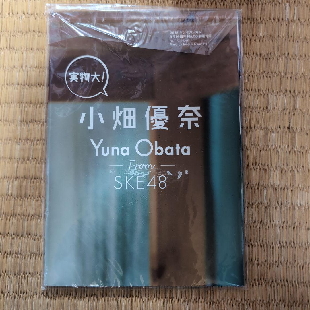 SKE48写真、ポスター