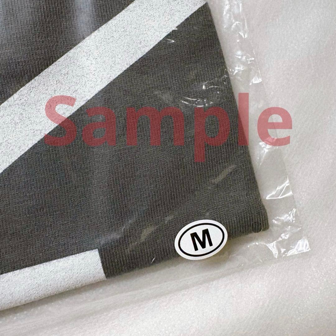 ★★新品未開封★限定★エレファントカシマシ★野音★エレカシTシャツ★Mサイズ★★