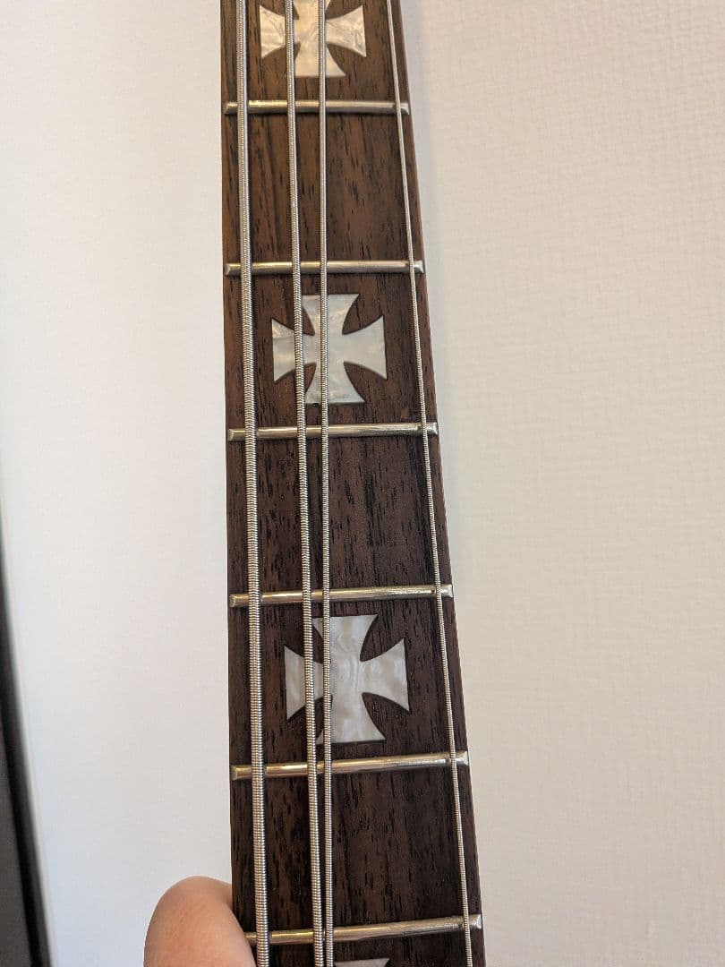 Epiphone ブラックバード　ニッキーシックス　サンダーバード