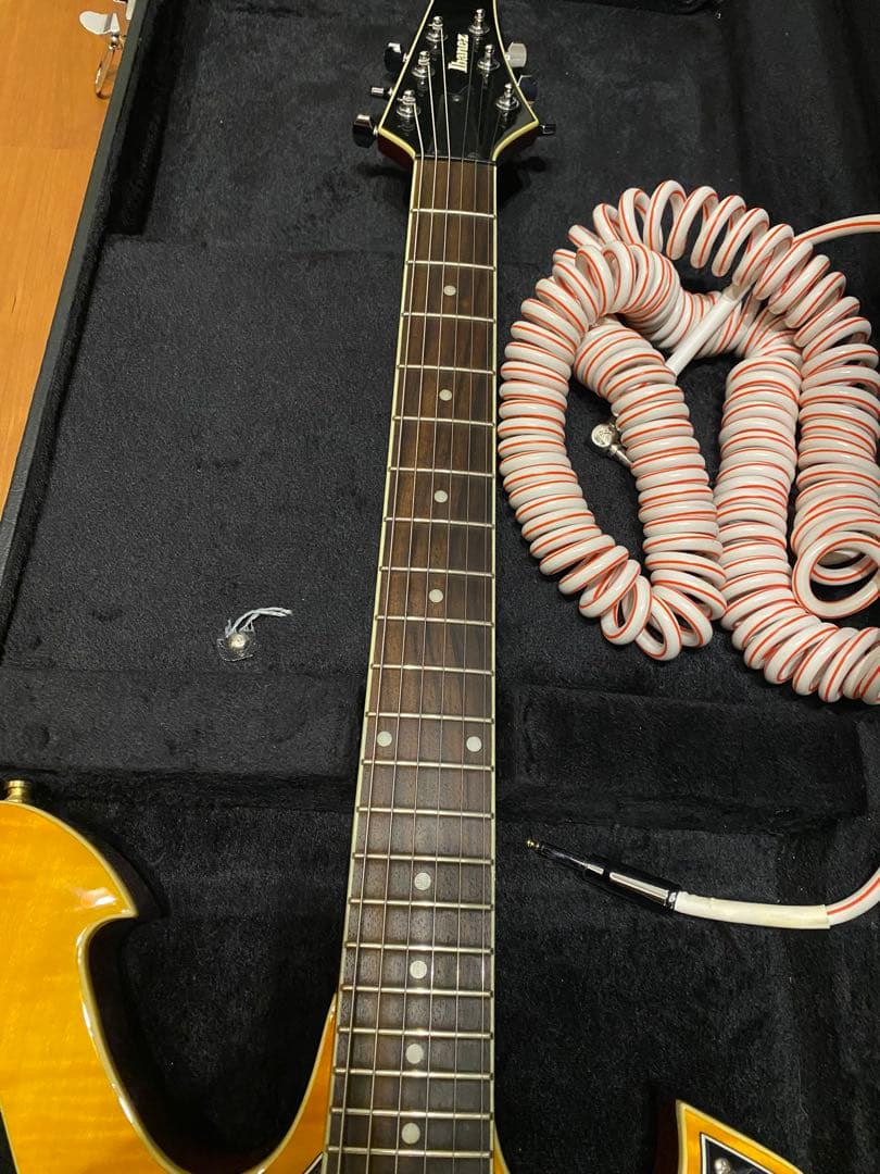 Ibanez アイバニーズFRM250MF ポールギルバート