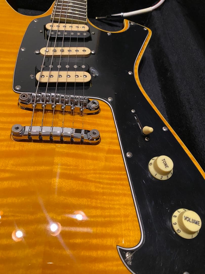 Ibanez アイバニーズFRM250MF ポールギルバート