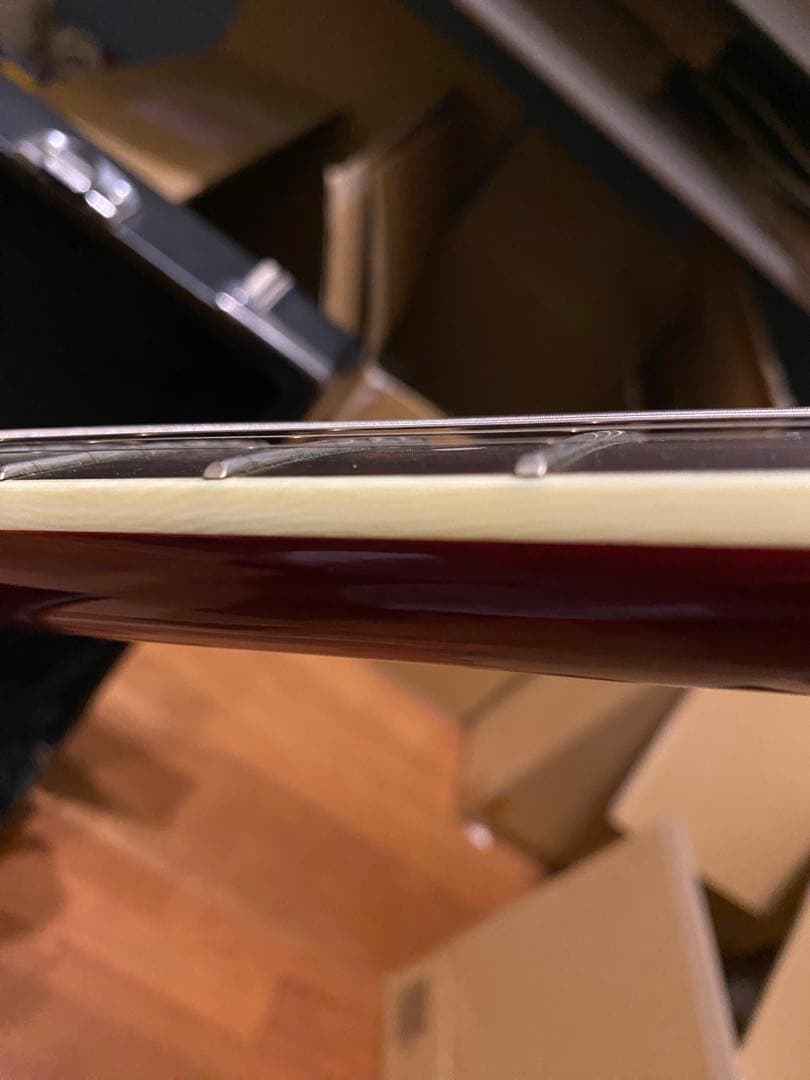 Ibanez アイバニーズFRM250MF ポールギルバート