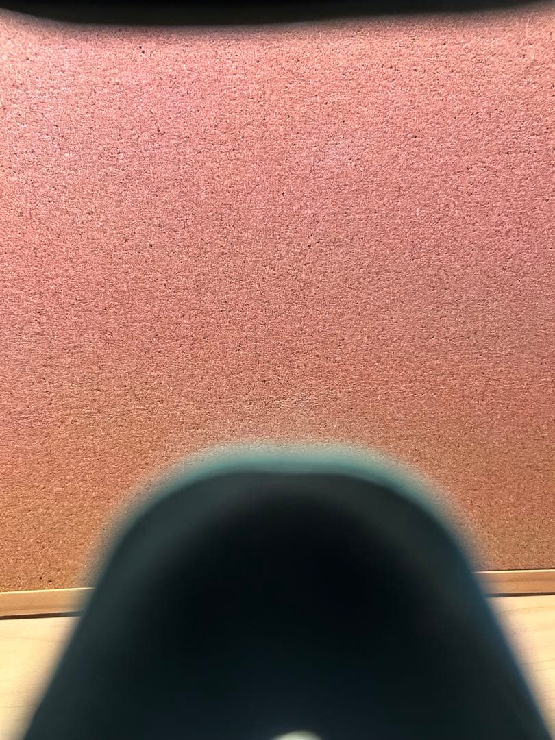 オークリー OAKLEY Fall Line L ゴーグル