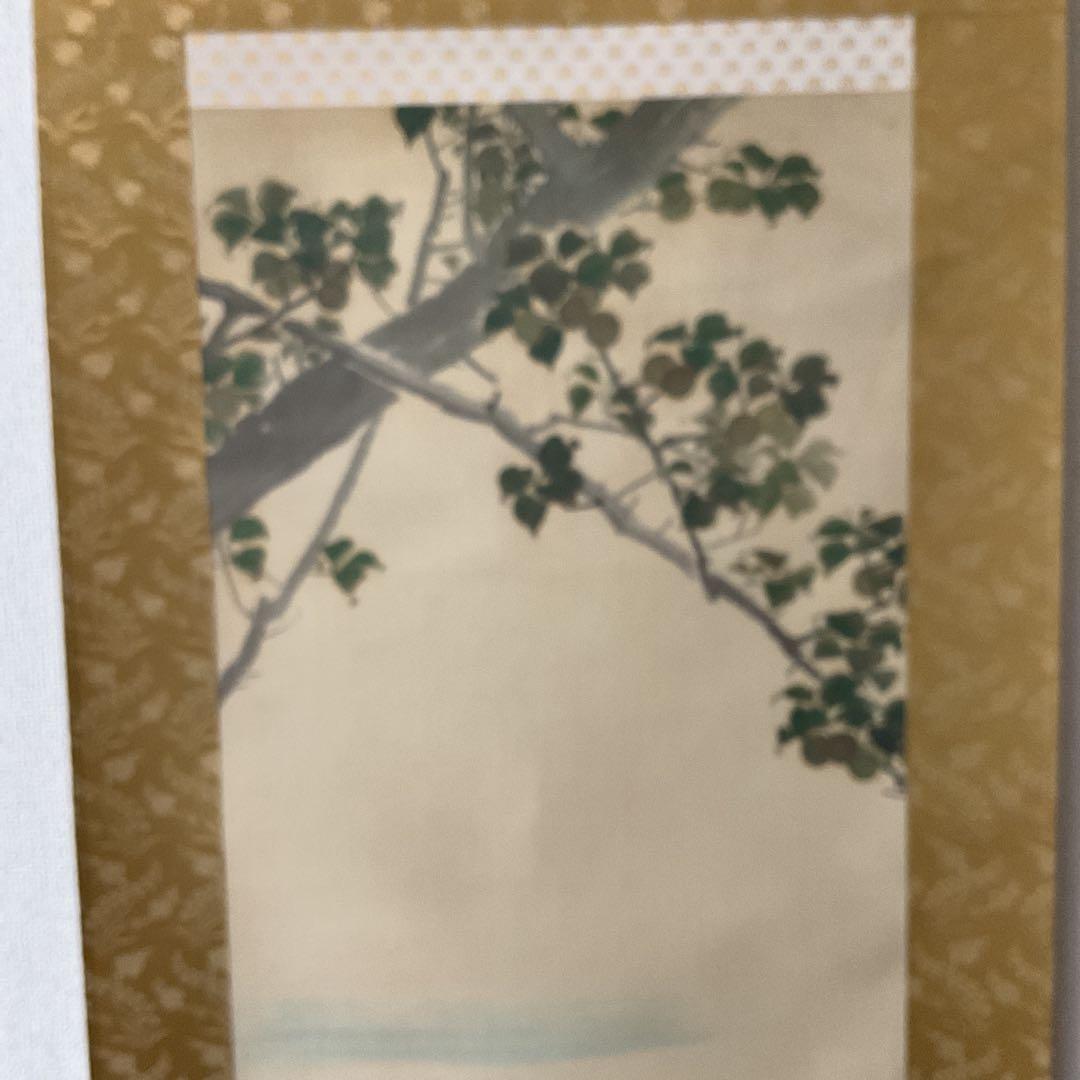 松村景文筆 複製掛軸復刻版 【青梅亀図 】 桐箱 タトウ箱付