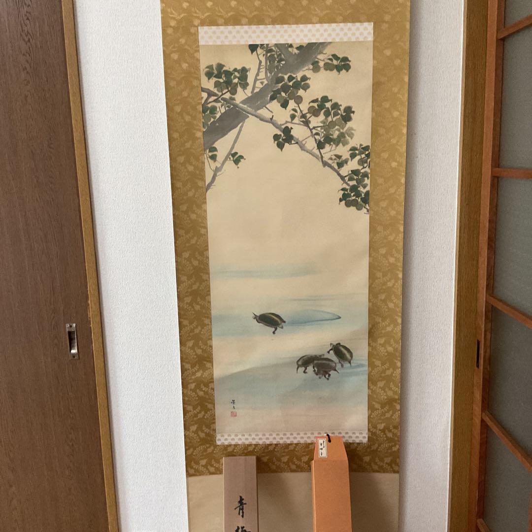 松村景文筆 複製掛軸復刻版 【青梅亀図 】 桐箱 タトウ箱付