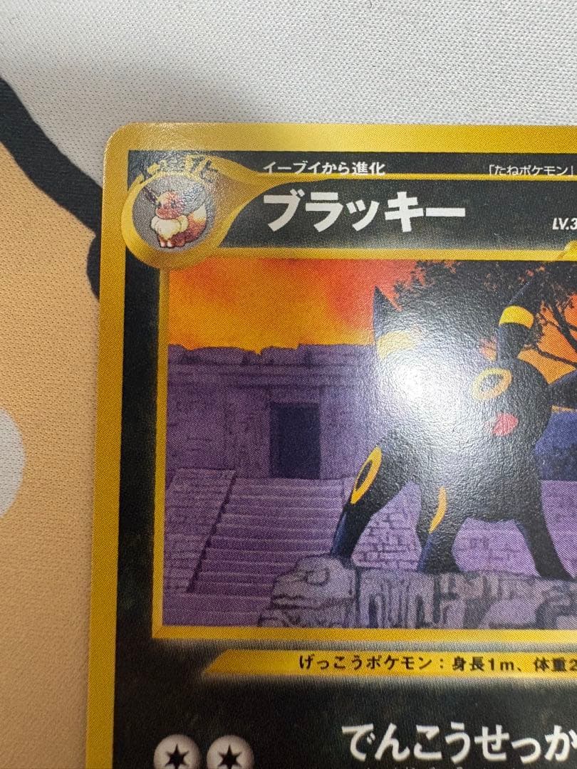 ブラッキー プレミアムファイル2 PROMO 第2世代　PRE2