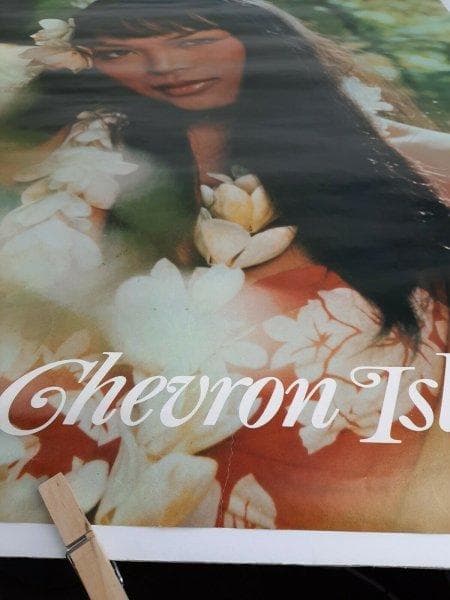 非売品★昭和レトロ★80年代★海外旅行 ハワイ フラダンス 美女 宣伝ポスター