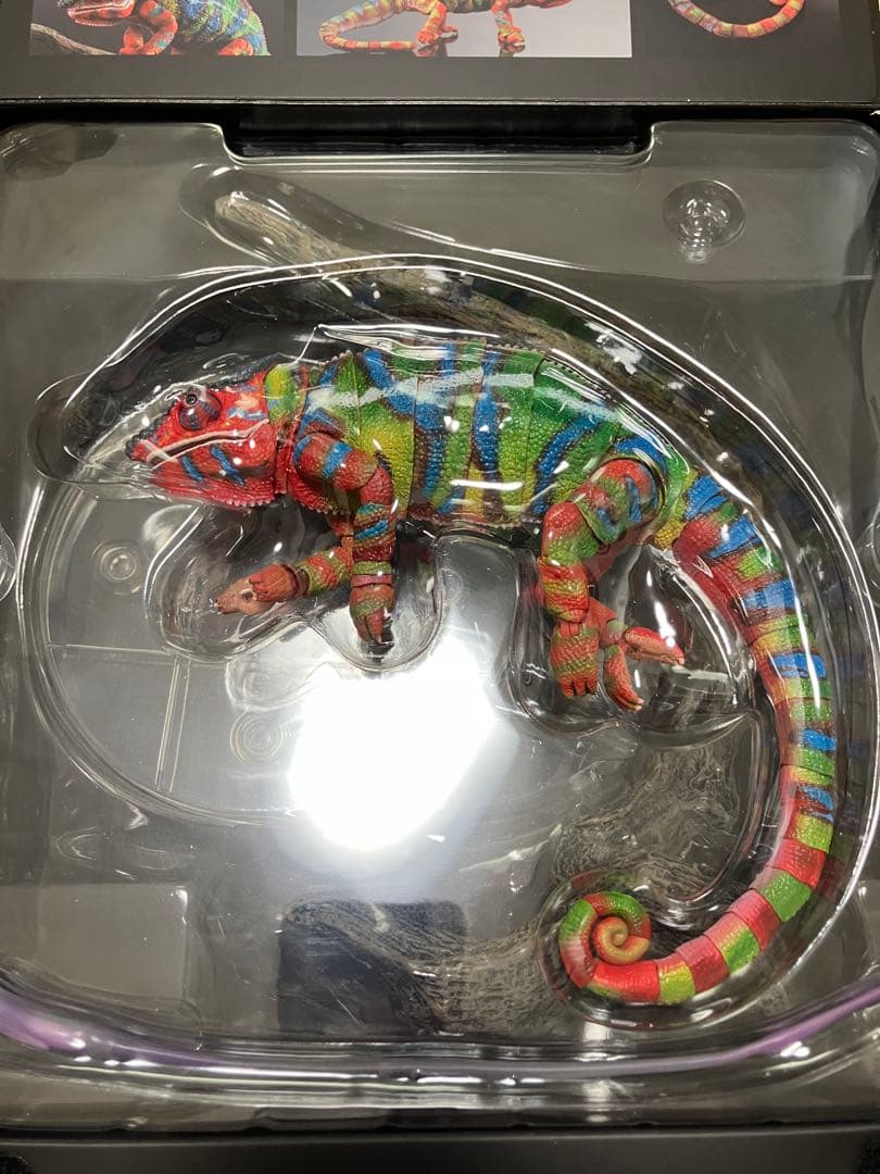 いきもの大図鑑プレミアム　パンサーカメレオン（アンビローブ・グリーン) 開封品