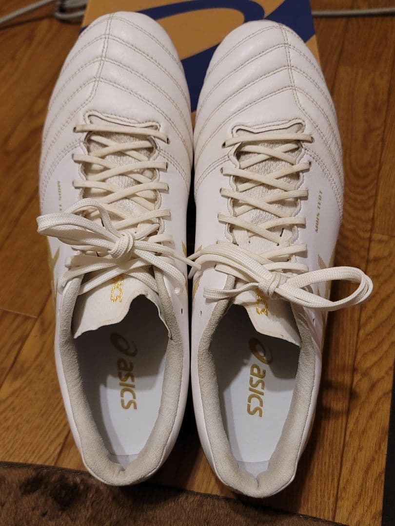 マ*ト様 ASICS DS LIGHT X-FLY PRO 27cm　美品