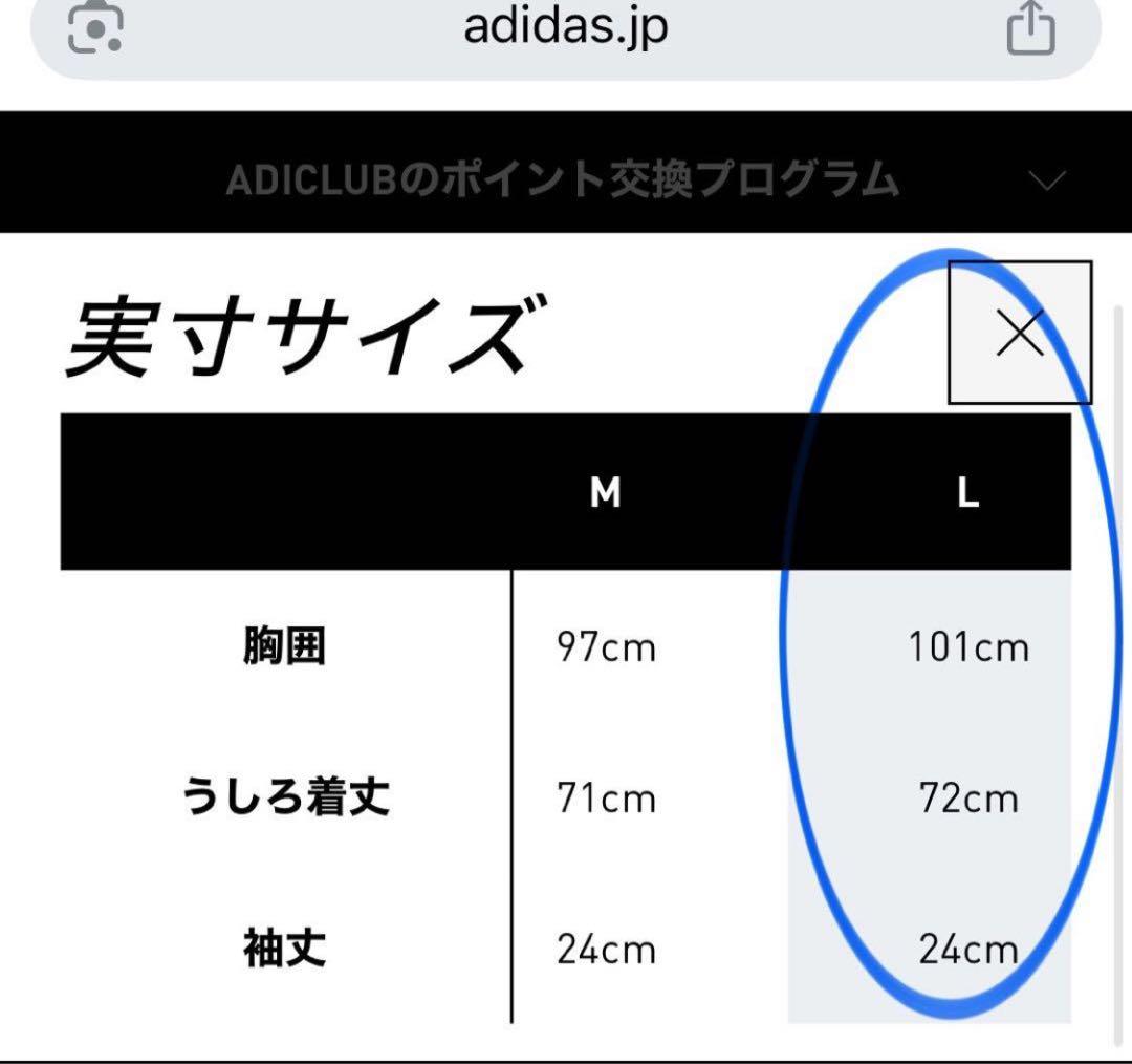 ぽんぽん【新品未使用L】ユベントス 24/25 サードユニフォーム