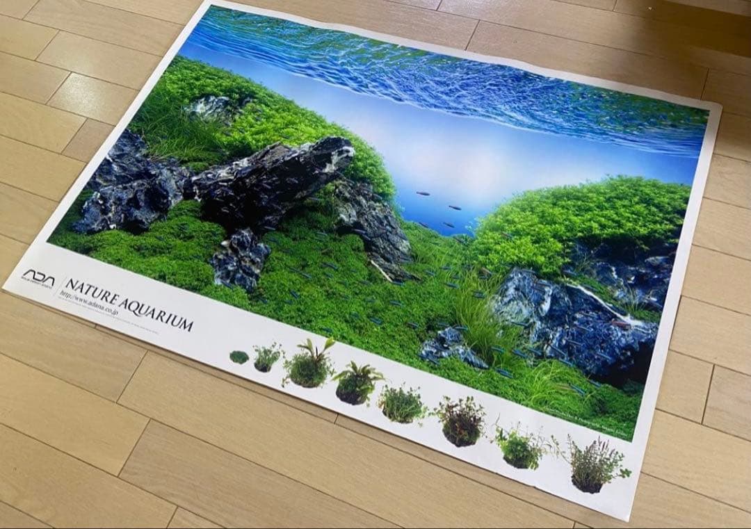 【入手困難】ADA 非売品ポスター2枚セット　龍王石/雲山石