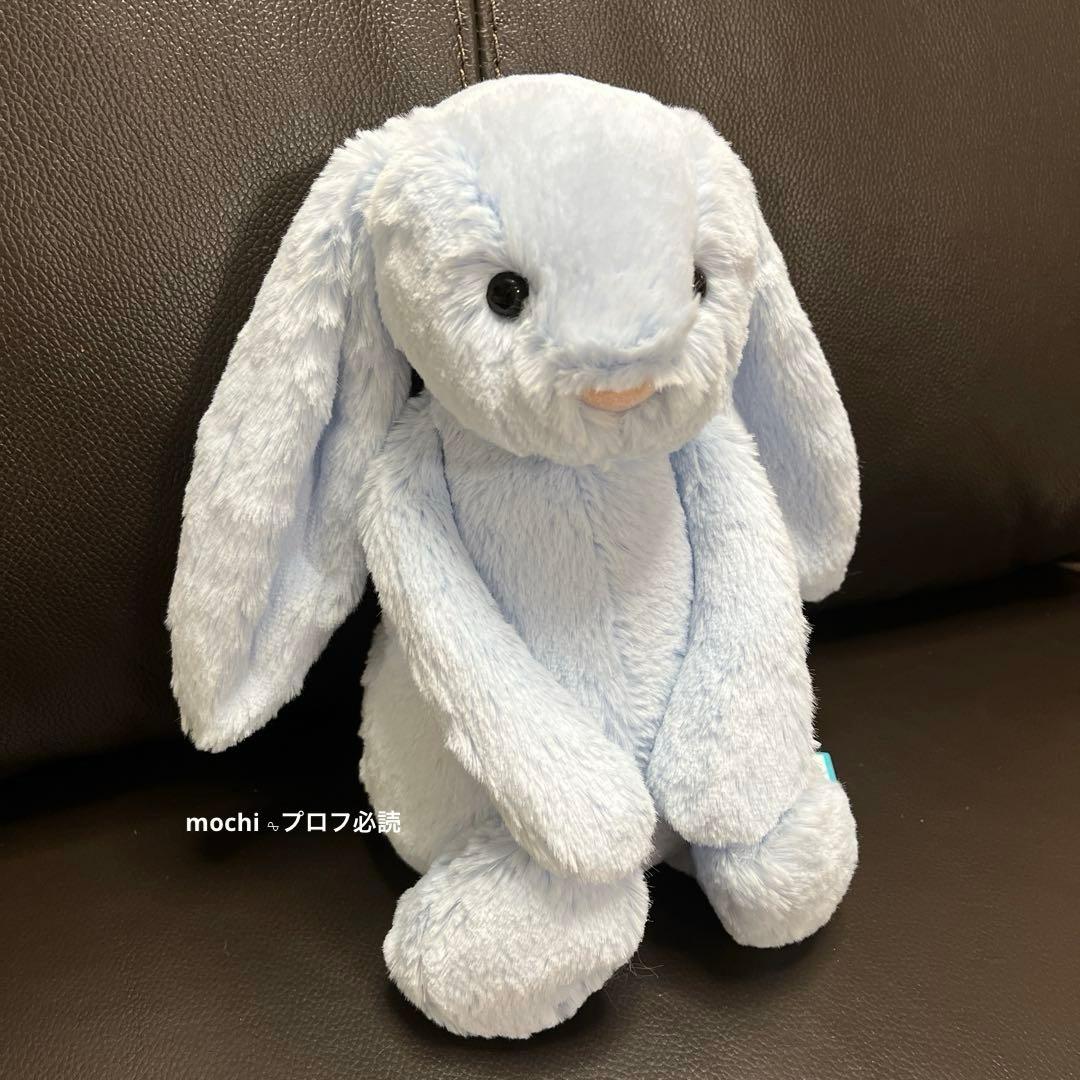 つる927ページ  Bashful Blue Bunny