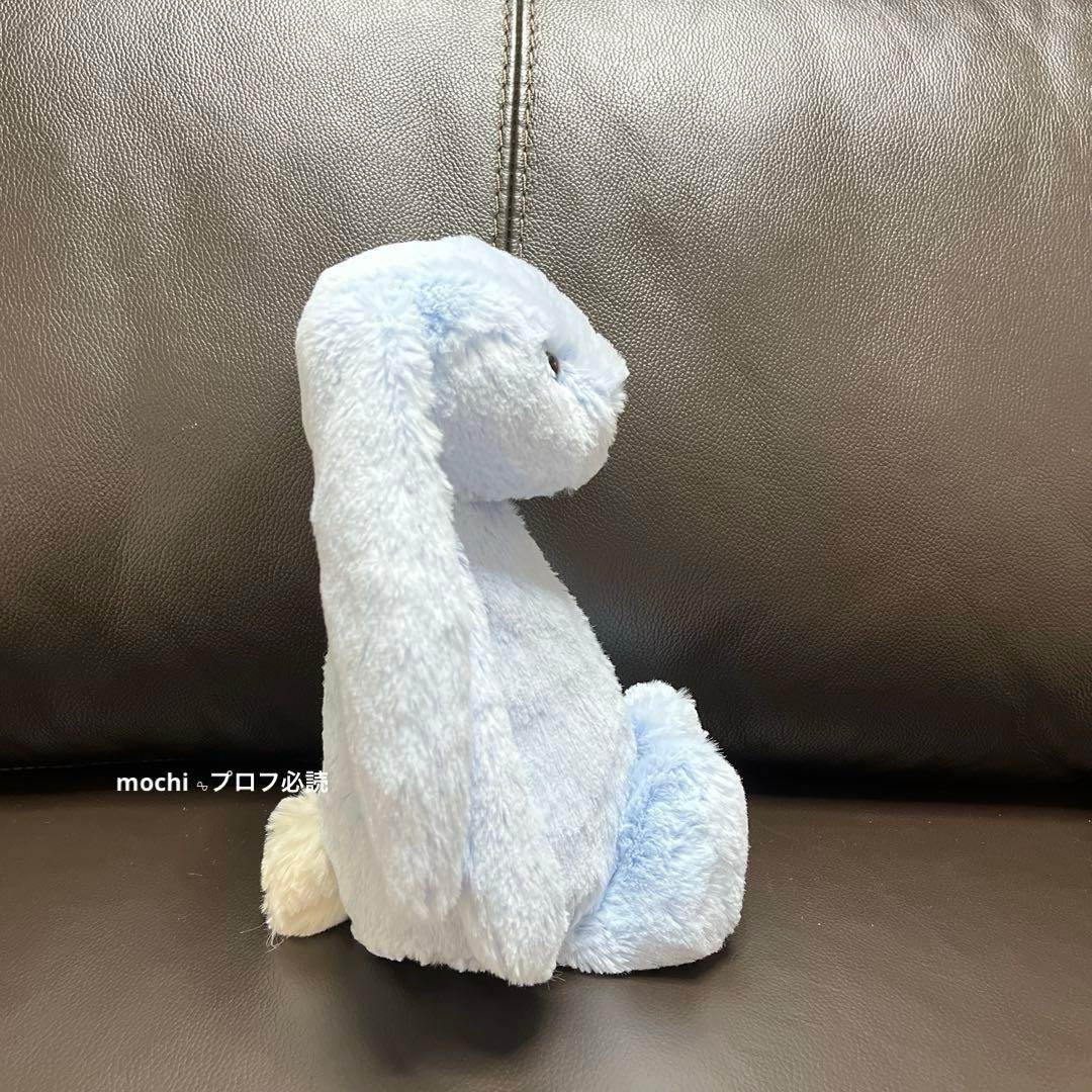 つる927ページ  Bashful Blue Bunny
