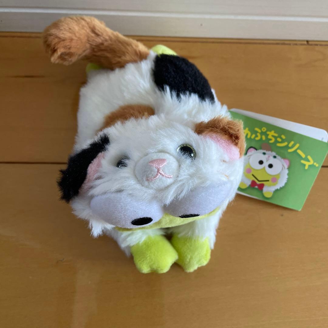 新品　Sanrio けろけろけろっぴ　まめプチ　こねこ　激レア　サンリオ
