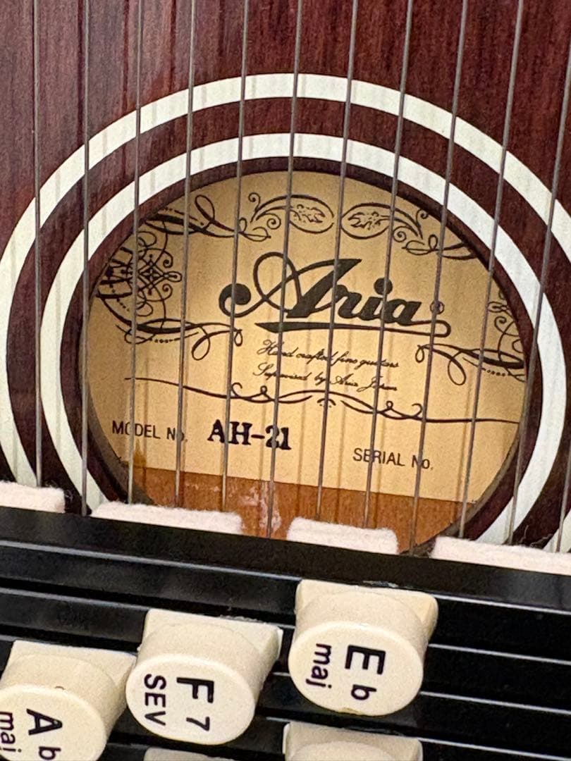 【極美品】ARIA Aria AH-21 コードハープ本体 純正品 ハードケース
