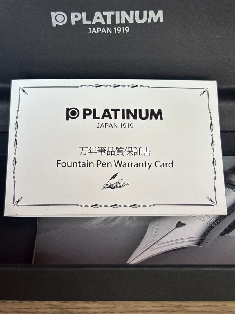 PLATINUM シャルトルブルー 万年筆 専用ケース付き