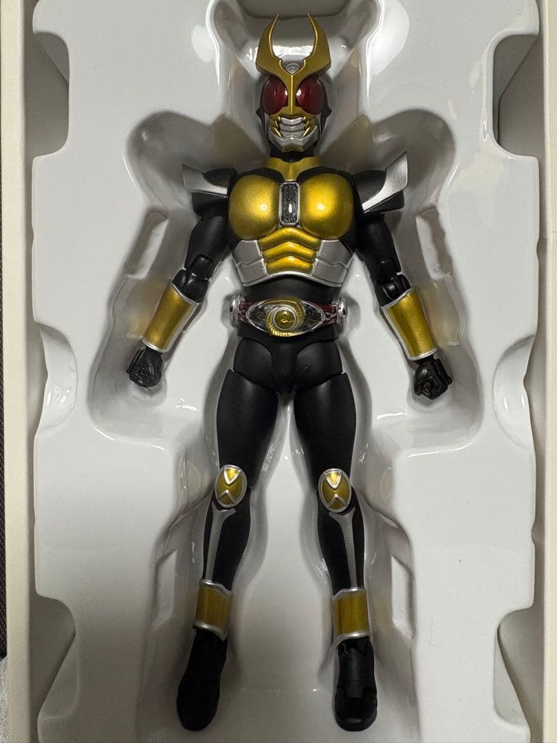 真骨彫　仮面ライダーアギト