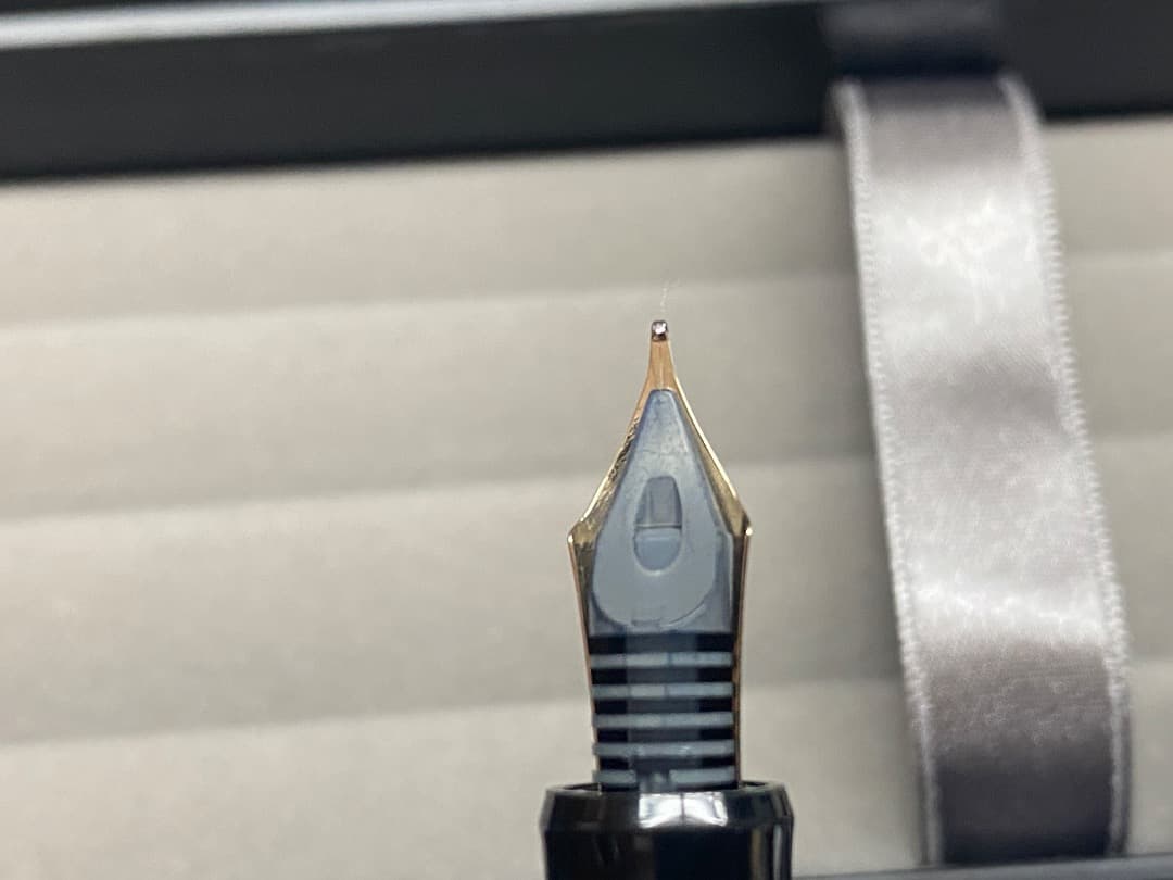 パイロット 万年筆 カスタム74 ペン種 SM FKKN-12SR-BSM