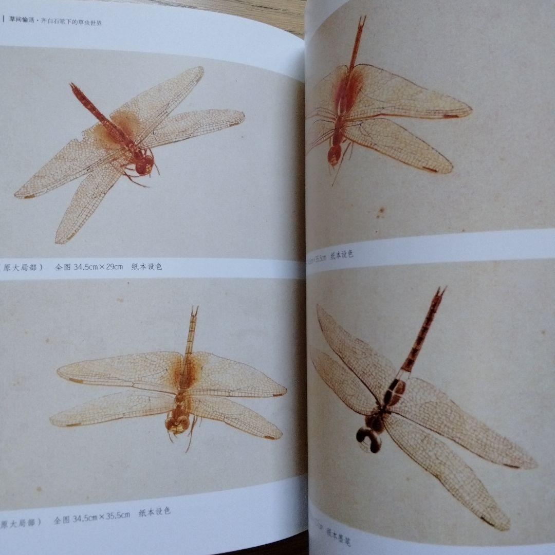 水墨画巨匠【草間偷活.斉白石草虫世界大型画集】北京画院編中国美術研究者の座右の書