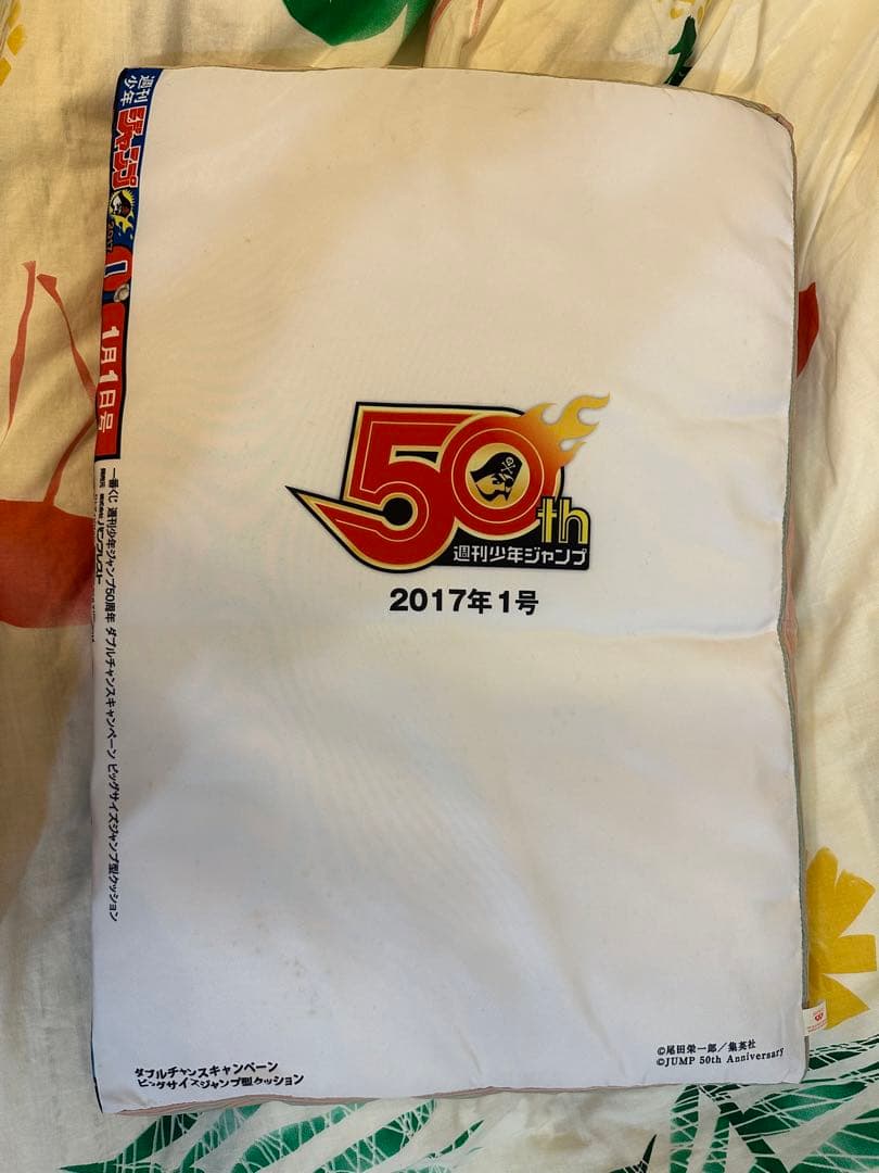 一番くじ ダブルチャンスキャンペーン ビッグサイズジャンプ型クッション