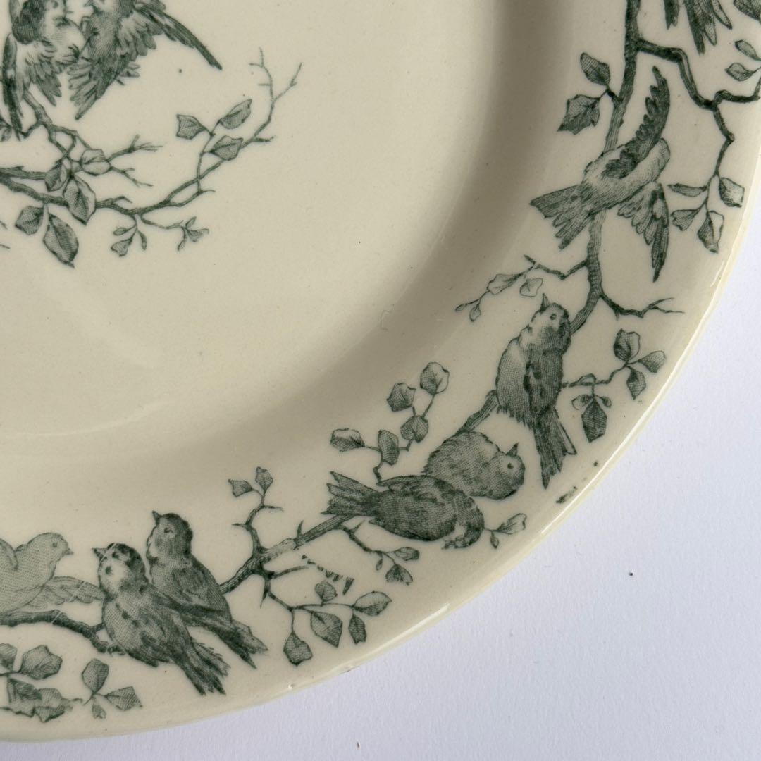 美品　フランスアンティーク　Gien AVIARY ディナープレート