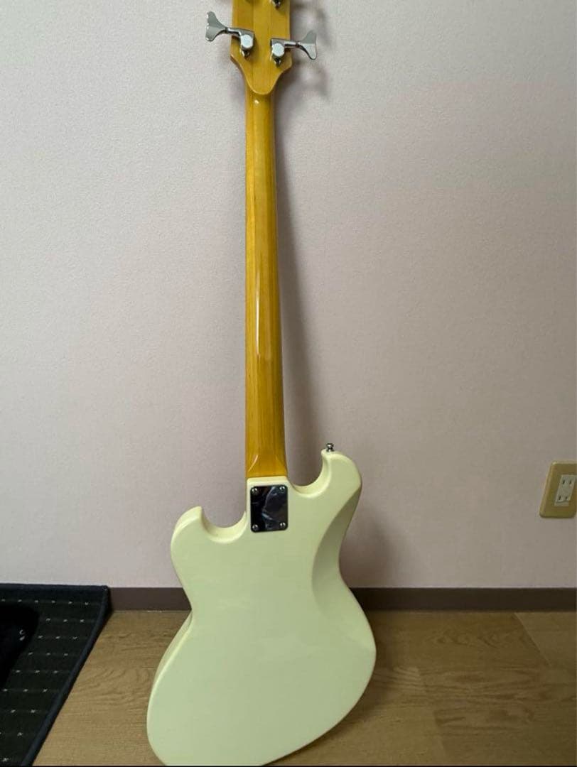 EDWARDS SHUSE ベース E-UT Acid Black Cherry